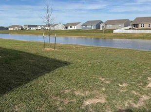Trevor E.'s grass cutting service result
