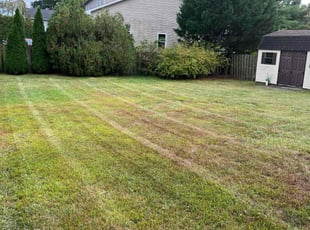 Beverly H.'s lawn maintenance service result