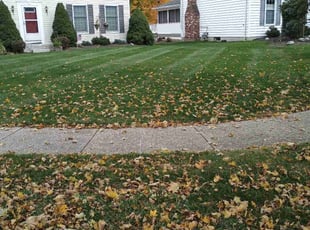 jeff h.'s lawn maintenance service result