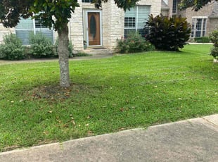 Tee B.'s yard service service result