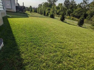 Jennifer B.'s grass maintenance service result