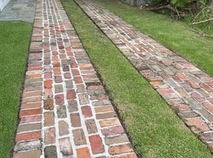 Wayne R.'s turf care service result
