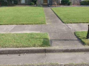 Frederica C.'s lawn maintenance service result