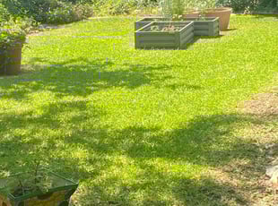 Galo C.'s lawn care service result