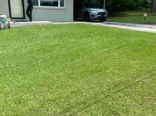 Tanya D.'s lawn care services service result