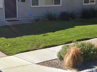 Mytrell F.'s lawn service service result
