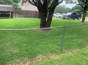 Tangela W.'s grass maintenance service result