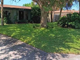 Tracy B.'s lawn service service result
