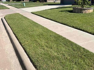Amanda U.'s lawn care services service result