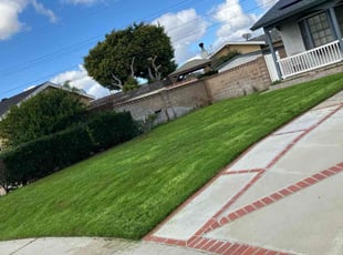 Lisa C.'s grass maintenance service result