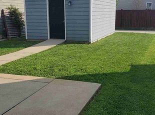Cynthia S.'s grass cutting service result