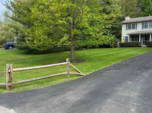 Jannae G.'s turf care service result