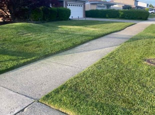 Logan A.'s grass cutting service result
