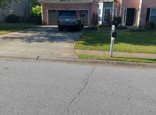 Tristan T.'s grass maintenance service result