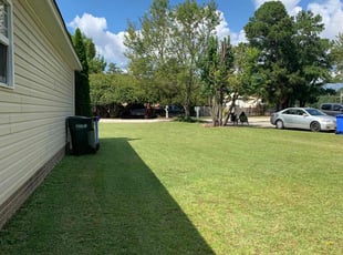 Kaitlyn C.'s grass maintenance service result