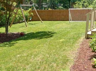 James B.'s grass cutting service result