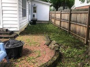 Jojo A.'s Leaf Removal service result