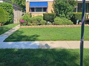 Cris S.'s turf care service result