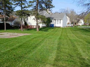 Thomas B.'s grass maintenance service result
