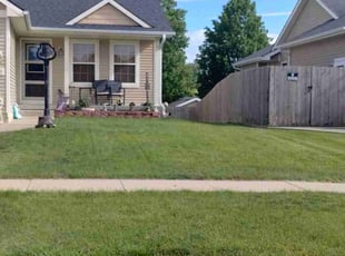 Frank T.'s landscape maintenance service result