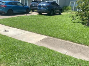 Joshua L.'s turf care service result