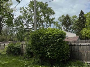 Halima I.'s Bush Trimming service result