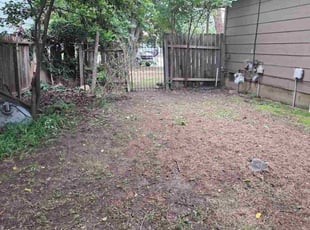 Maria F.'s Bush Trimming service result