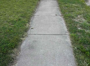 David H.'s Bush Trimming service result