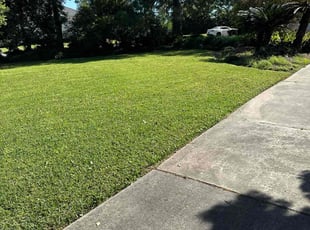 Malcolm M.'s lawn care service result