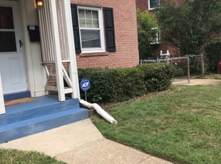 Cynthia W.'s Bush Trimming service result