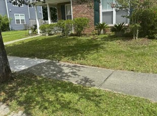 Morrigan B.'s lawn service service result