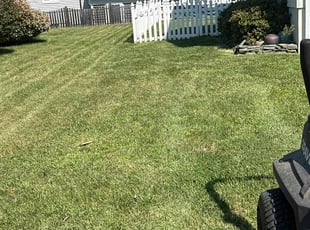 Timothy S.'s grass maintenance service result