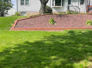 Hyeonsup L.'s lawn care service result