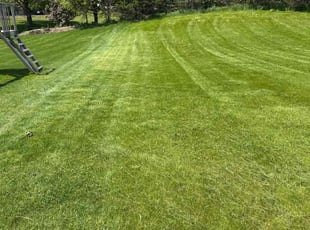 Jessica N.'s lawn care service result