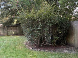 Peter D.'s Bush Trimming service result