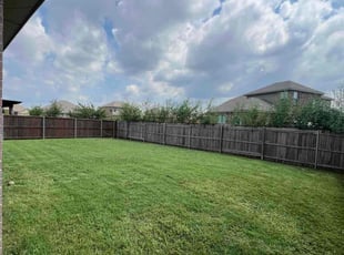 Katie M.'s lawn care service result