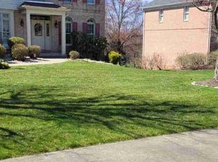 Angela C.'s grass cutting service result