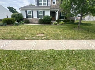 Ashish J.'s turf maintenance service result