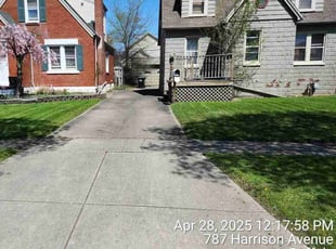 Erica G.'s yard care service result
