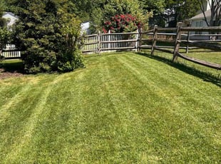Meloree F.'s grass cutting service result