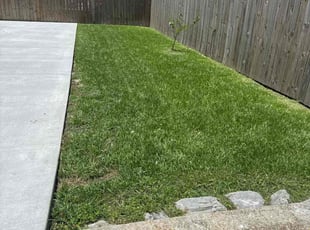 Vicki L.'s grass cutting service result