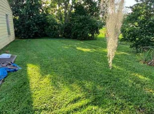 Des P.'s lawn care services service result