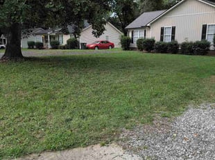Theresa G.'s Cleanup service result