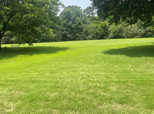 Bill G.'s lawn care services service result