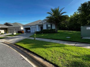 Elias T.'s turf maintenance service result