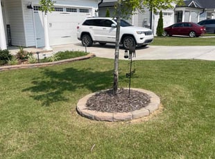 Ashley A.'s turf care service result