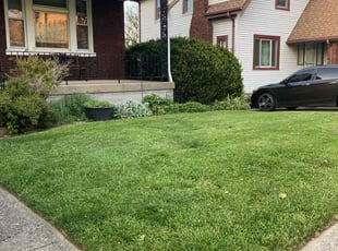 Dawn E.'s yard maintenance service result