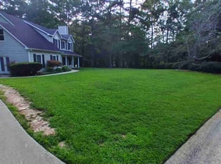 Sang K.'s turf care service result