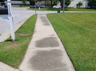 Sean D.'s turf care service result