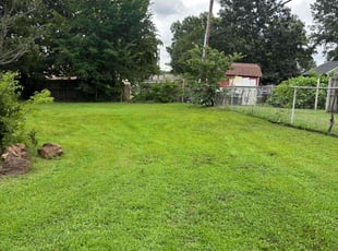 Persephonie G.'s grass maintenance service result